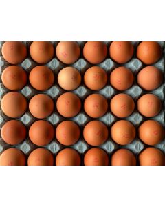 Retail Pre Pack Free Range Large Eggs (CASES 15doz)
